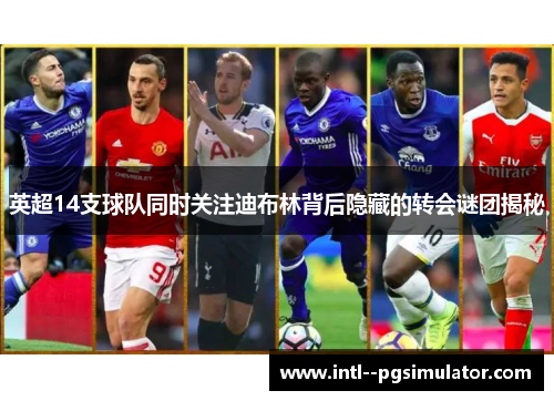 英超14支球队同时关注迪布林背后隐藏的转会谜团揭秘