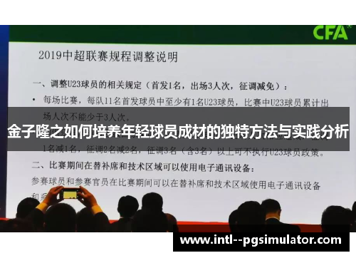 金子隆之如何培养年轻球员成材的独特方法与实践分析 金子隆之如何培养年轻球员成材的独特方法与实践分析