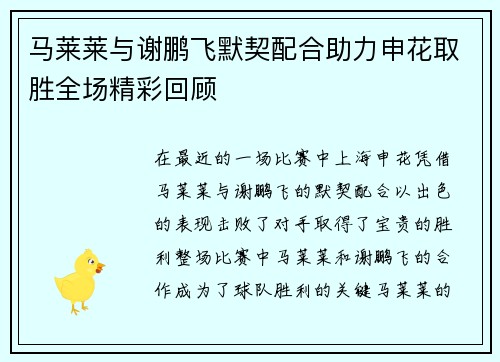 马莱莱与谢鹏飞默契配合助力申花取胜全场精彩回顾 马莱莱与谢鹏飞默契配合助力申花取胜全场精彩回顾