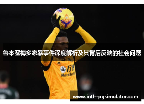 鲁本塞梅多家暴事件深度解析及其背后反映的社会问题