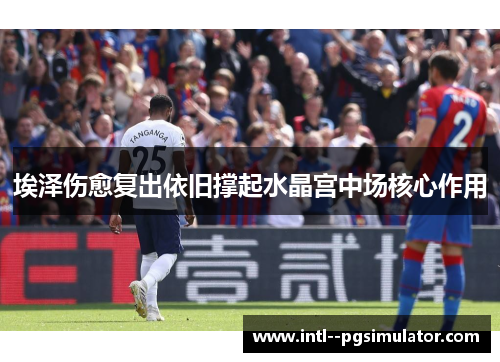 埃泽伤愈复出依旧撑起水晶宫中场核心作用
